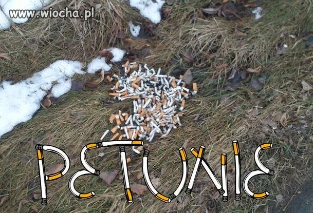 Śnieg prawie stopniał,wiosna idzie...