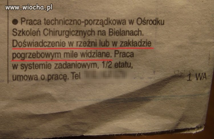 Oferta pracy