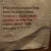 Oferta pracy