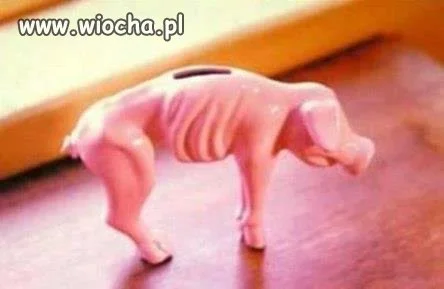 ŚWINKA SKARBONKA