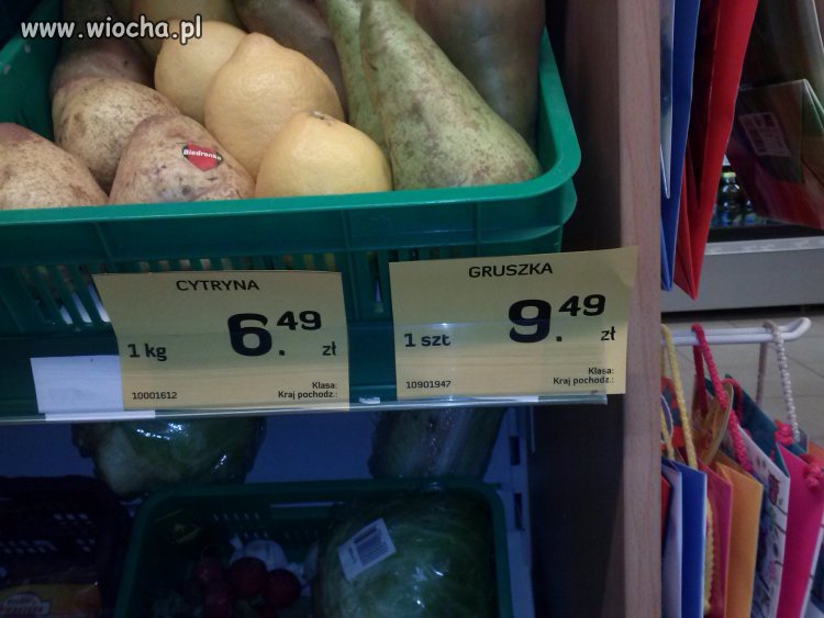 Żabka Zielona Góra