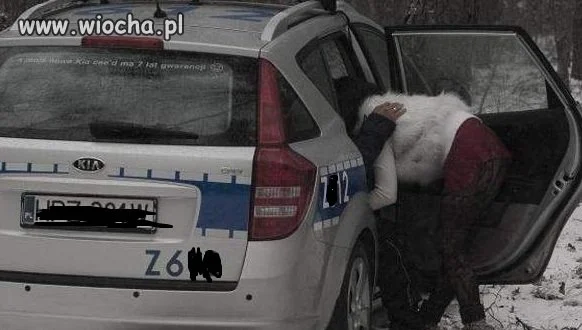 Stróże prawa