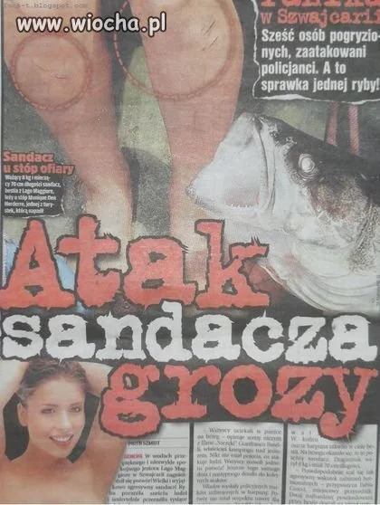 Atak sandacza grozy