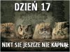 Dzień 17