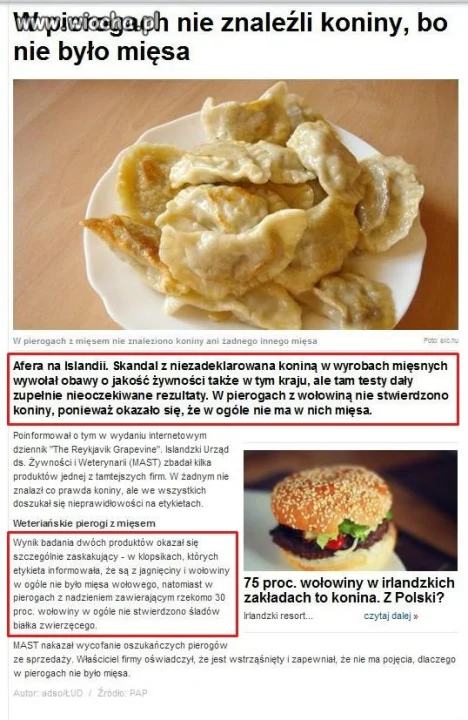 Pierogi z mięsem