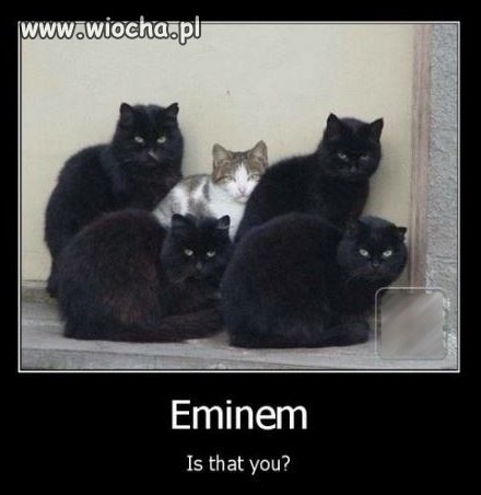 Eminem, czy to Ty?
