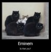 Eminem, czy to Ty?