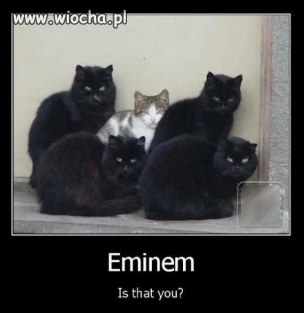 Eminem, czy to Ty?