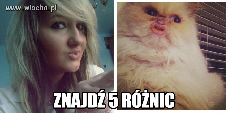 Znajdź 5 różnic