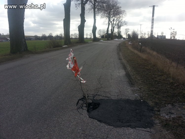 Profesjonalizm polskich służb drogowych powala 