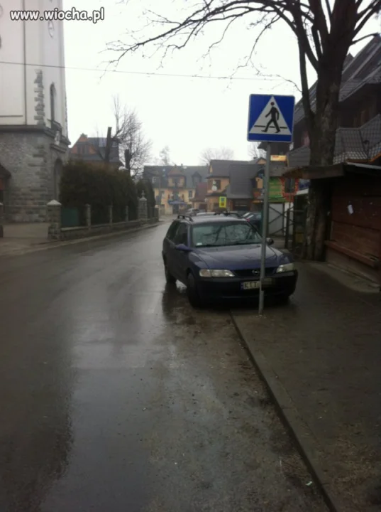 Mistrz parkowania