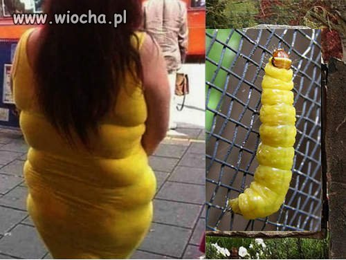 Znajdź różnicę