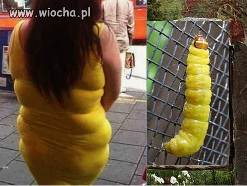 Znajdź różnicę