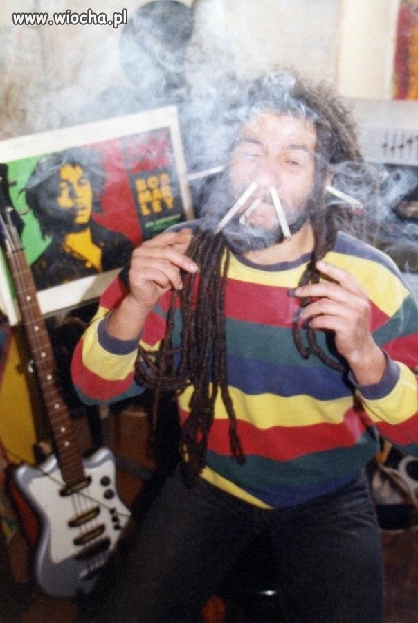 Prawdziwy rasta 