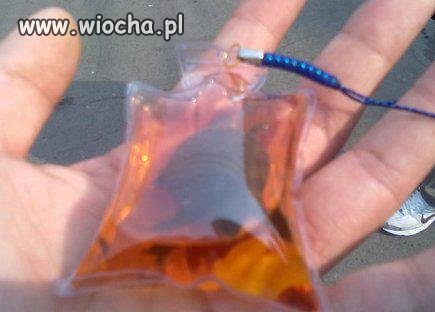 Pamiątki w Chinach... żywy żółw umierający przez