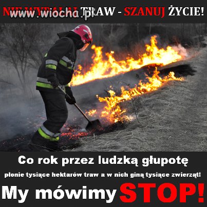 Wiosna tuż tuż