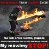 Wiosna tuż tuż