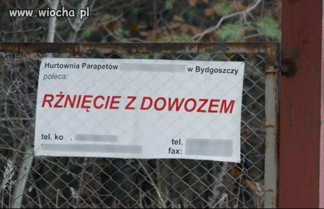    ... w Bydgoszczy 