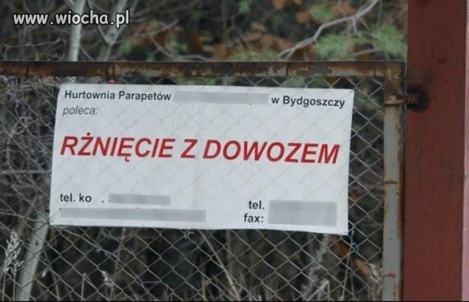    ... w Bydgoszczy 