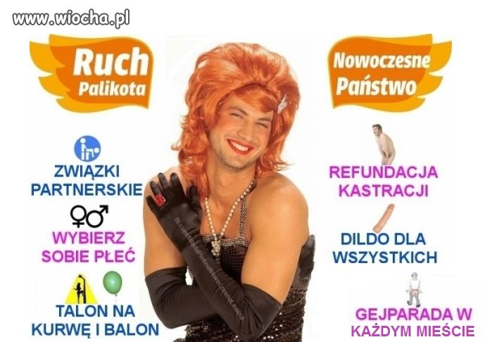 Ruch palikota