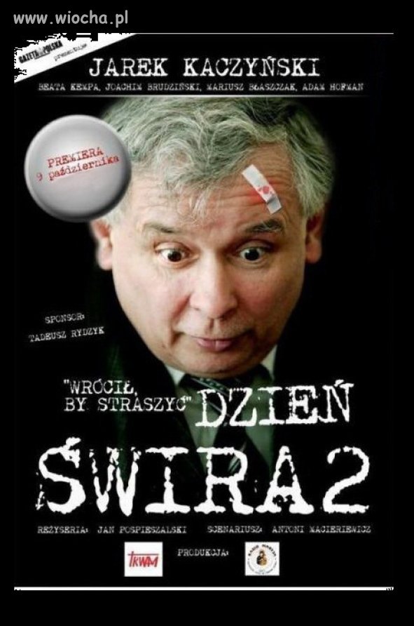 Dzień świra 2