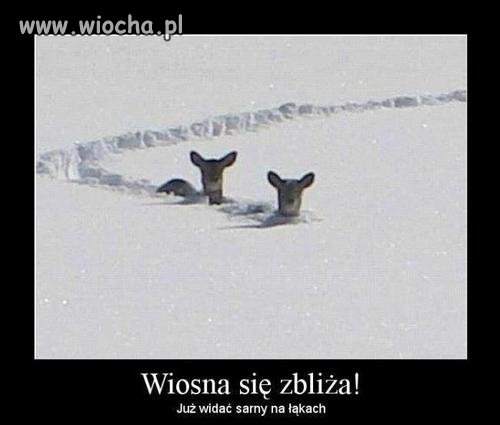 Wiosna idzie