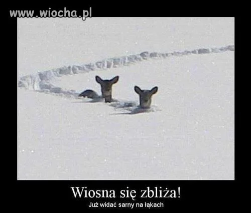 Wiosna idzie