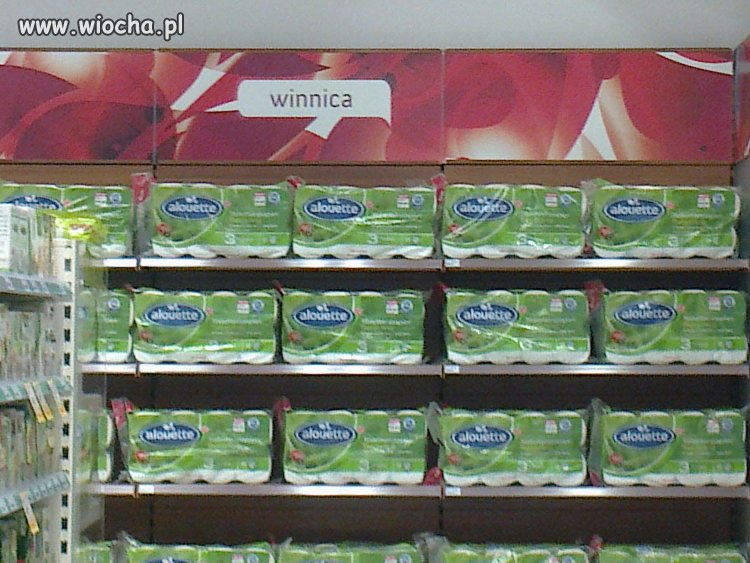 WINNICA W ROSSMANNIE