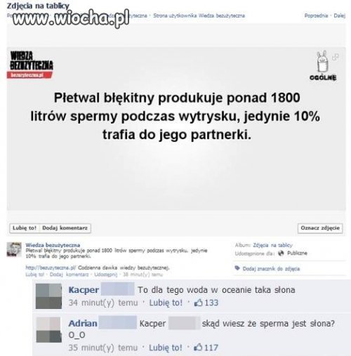 Smakosz