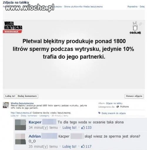 Smakosz