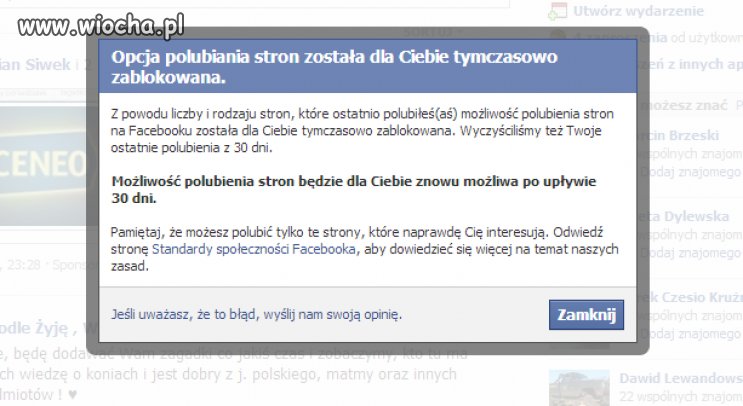 No chyba sobie jaja robią 