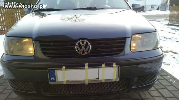 Mistrz kamuflażu 