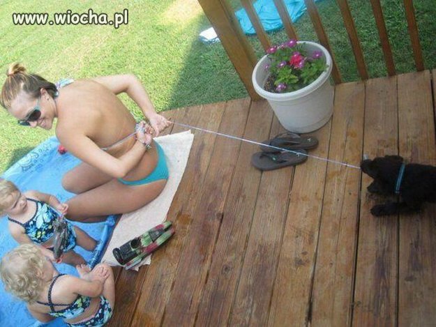 Wyszkolona psinka