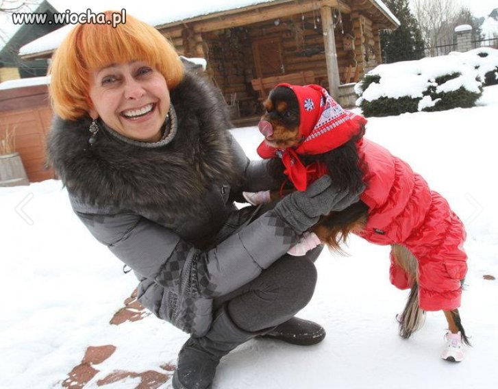 Moja Pani to debil... 