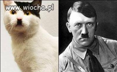 Znajdź trzy różnice...