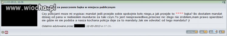 Polska policja