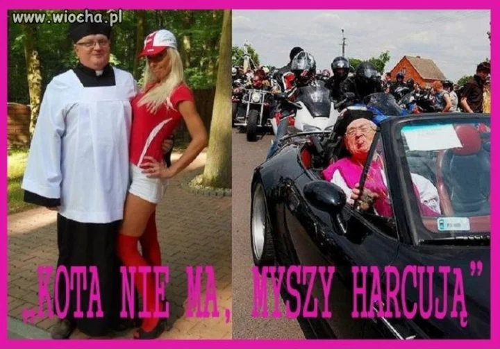Kota nie ma,