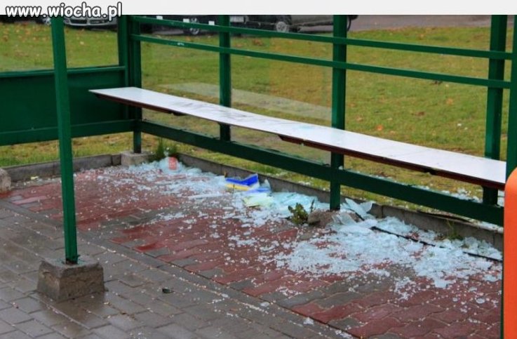 Debilu nie niszcz przystanków...