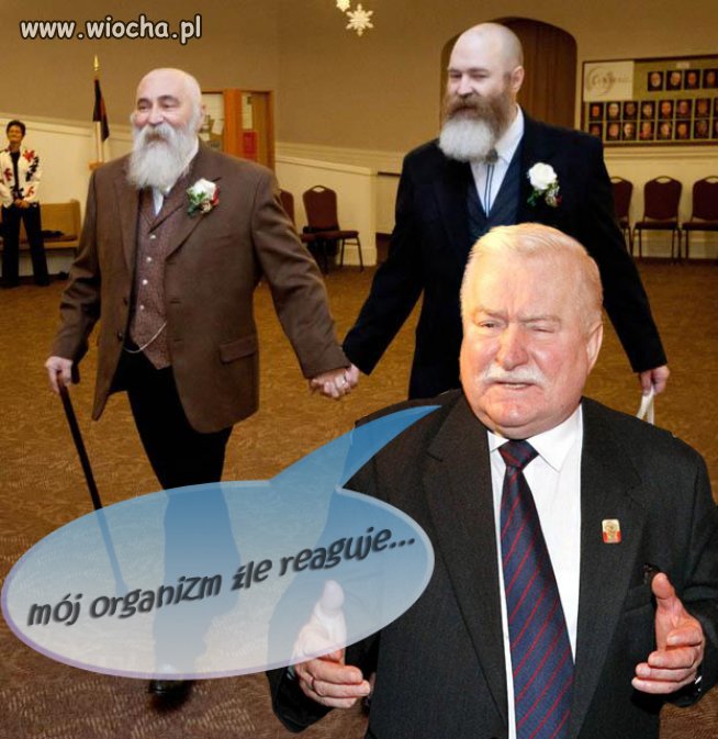 Lechu ...
