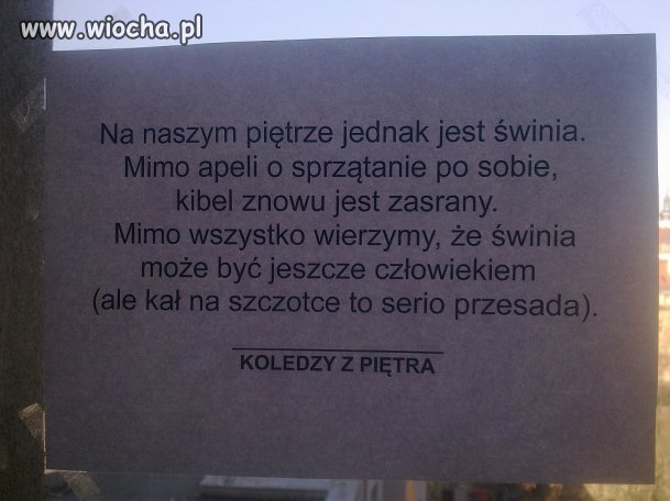Co jak co, ale kał na szczotce to przesada