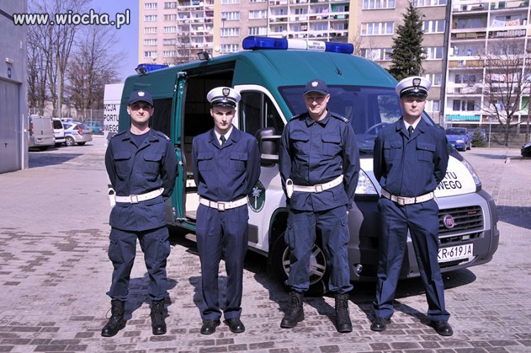 Inspekcja Transportu Drogowego
