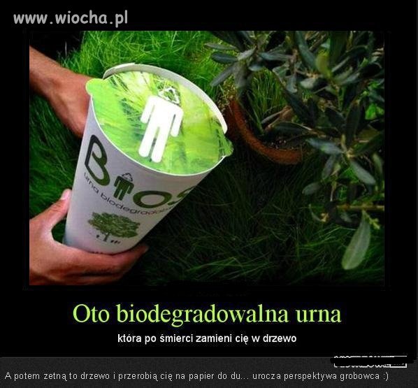 Ekologia