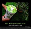 Ekologia
