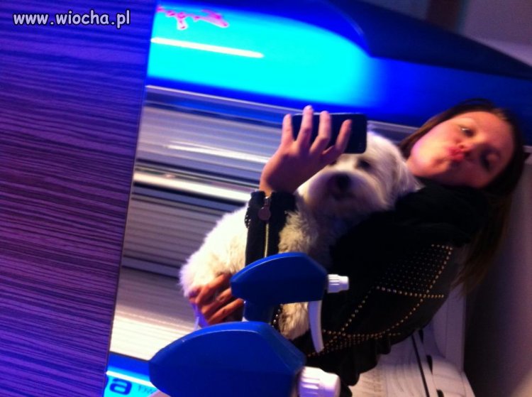 Z psem w solarium