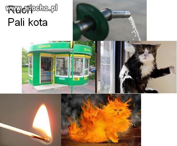 Ruch