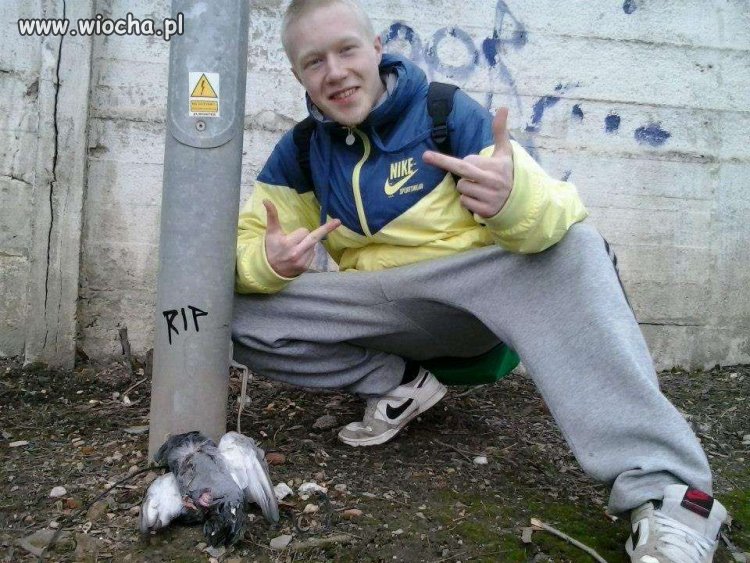Pozostawię to bez komentarza...