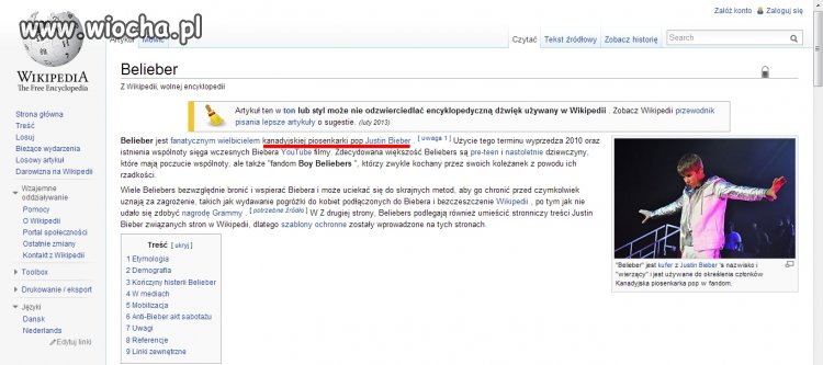 Tłumacz Google