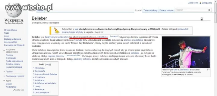 Tłumacz Google
