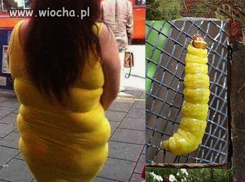 Znajdź 5 różnic