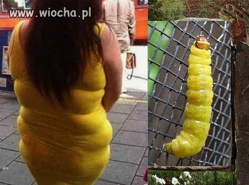 Znajdź 5 różnic